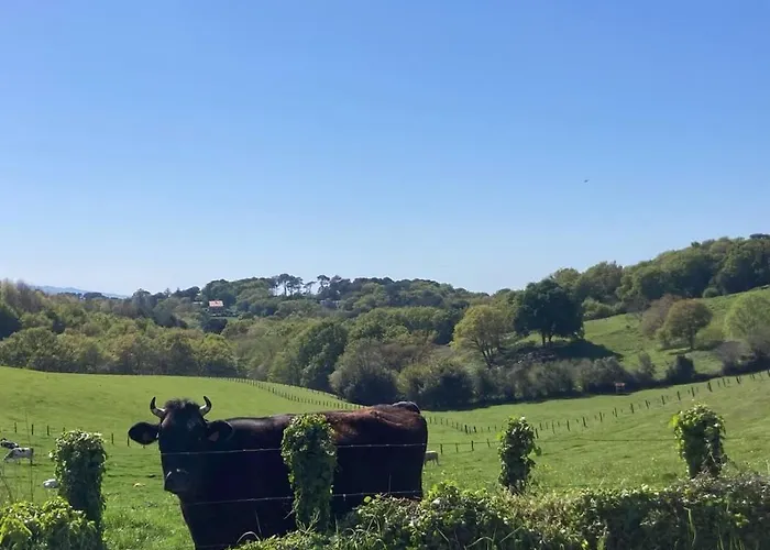 빌라 Arguibel 게타리