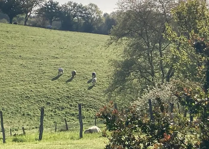 빌라 Arguibel 게타리