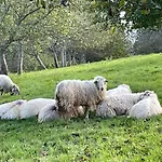 וילה Arguibel Guéthary