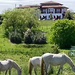 Arguibel Guéthary