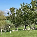 Arguibel