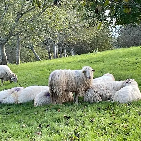 Villa Arguibel Getaria