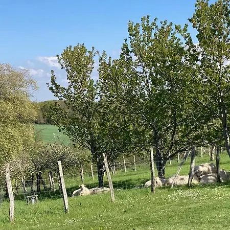 Arguibel